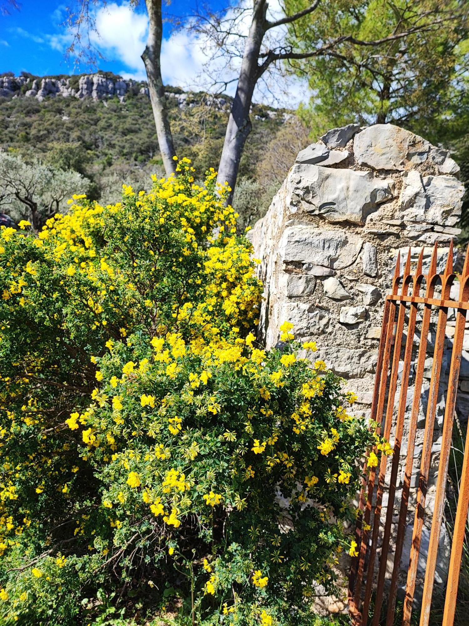Vila La Bergerie De Corconne Exteriér fotografie